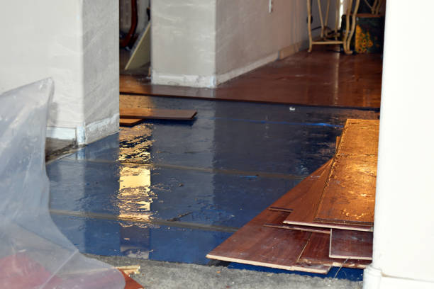Professional Water Damage technician working in Hustisford, WI